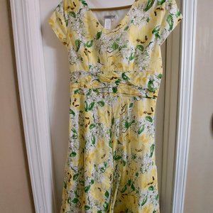 Coldwater Creek Lined Floral Yellow White Green 100% Cotton Dress Size 10